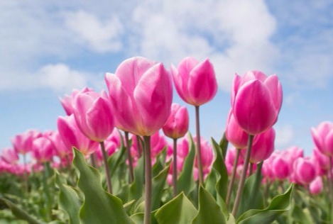 Goedkope marketingactiviteiten